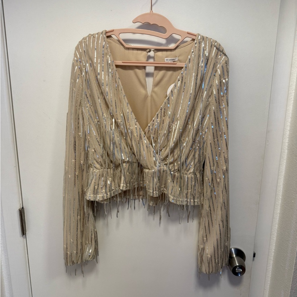 ❤️‍🔥 4 for $25 SALE: Long sleeve silver sequin fringe cropped blouse NWT